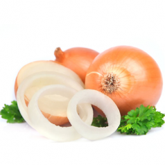 Цибуля ріпчата